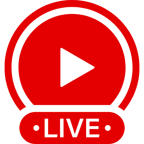 How To Use A Sybian | Live Webcam Shows & Interactive Adult Entertainment